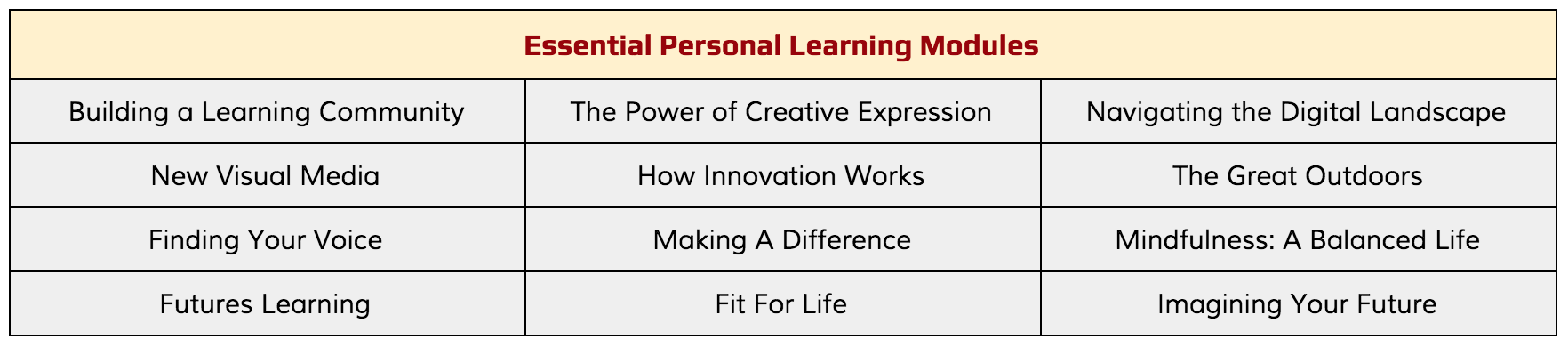 Personalized Data Units or Personal Learning? – maelstrom